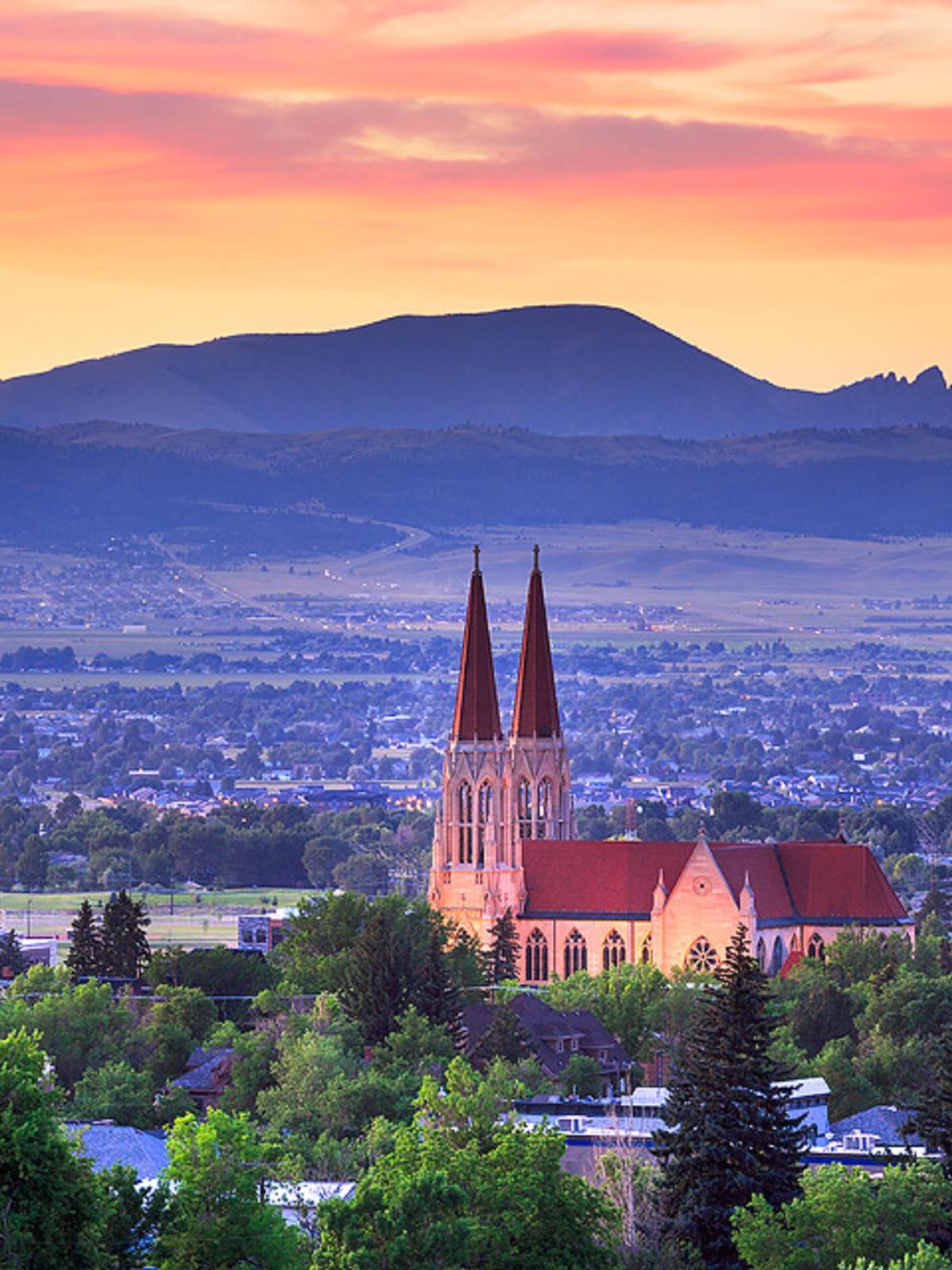 Christopher N. Stewart, MD Professional Background Image