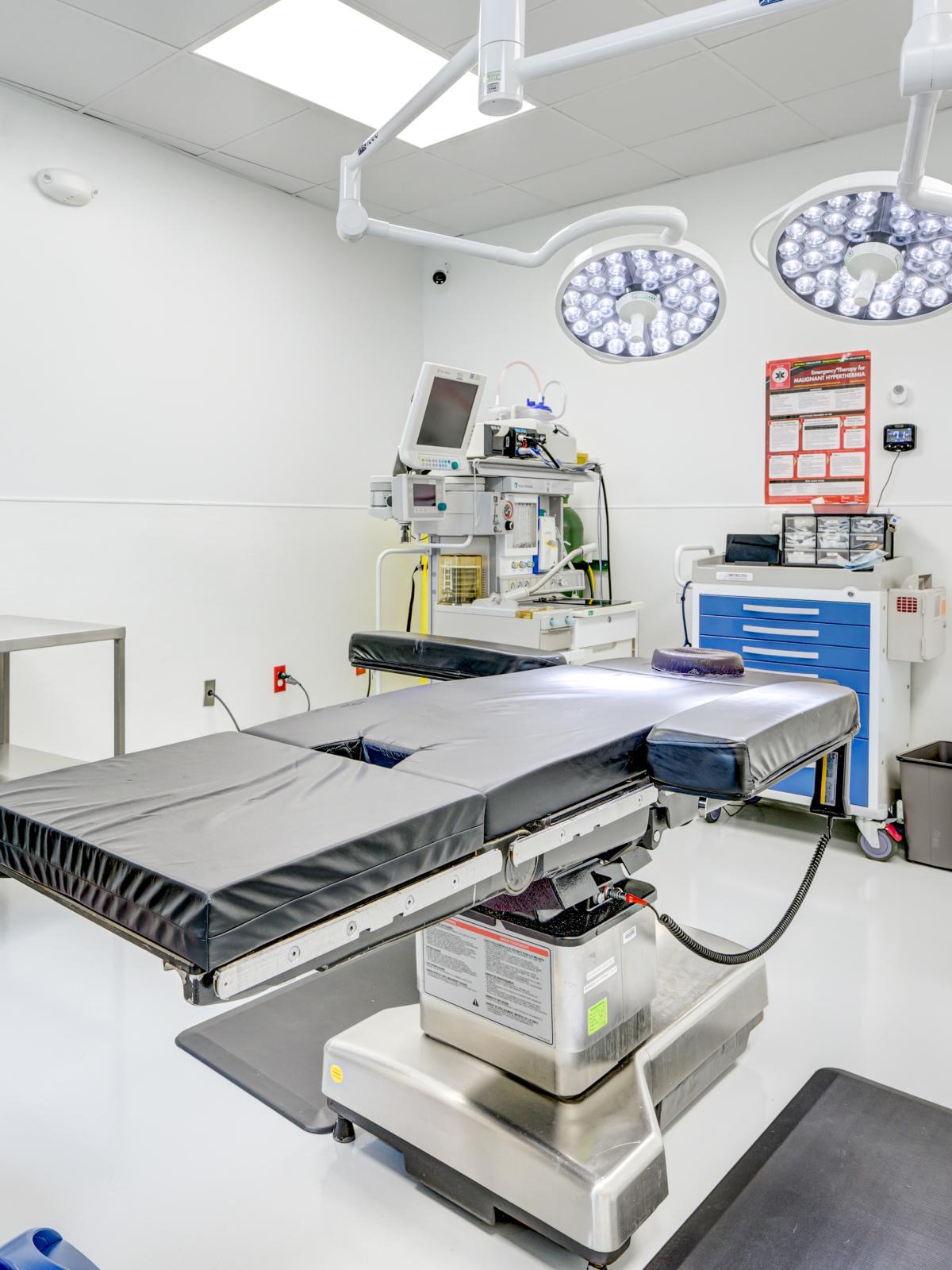 Steven Carp, MD Professional Background Image