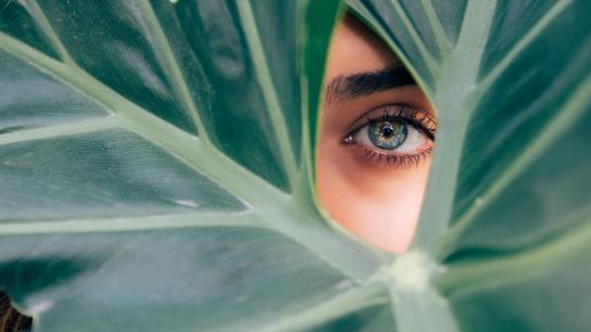 Woman's eye surrounded by foliage