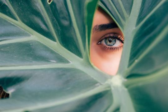 Woman's eye surrounded by foliage